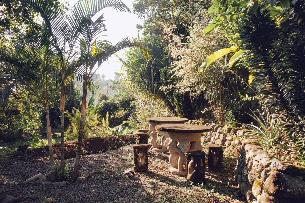 Spanish By The River - Turrialba Bagian luar foto